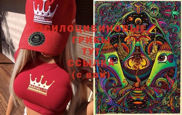 spice Магадан