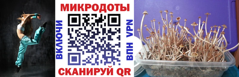 Купить  Власиха  Псилоцибиновые грибы GOLDEN TEACHER 