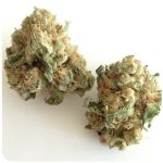 Шишки "White Widow"  (Белая вдова)  Гидропоника -  Бошка VHQ в Власихе